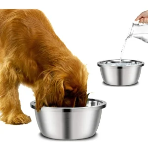 Stainless Steel Dog Bowls