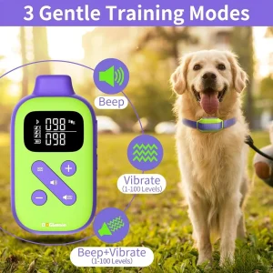 No-Shock Vibrating Dog Collar