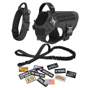 Dog Harness & Leash Set